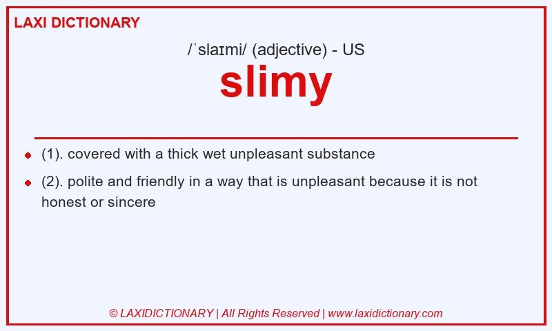 Definition slimy in American English