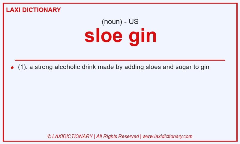 Definition sloe gin in American English