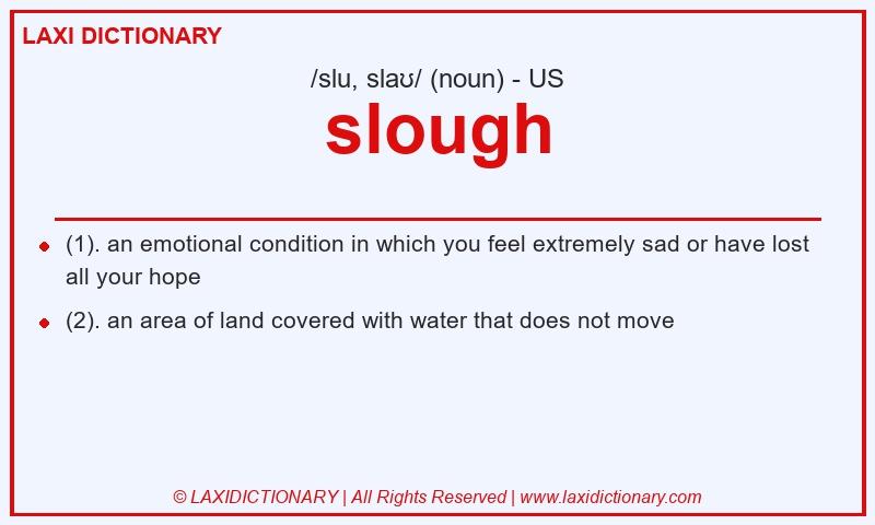 Definition slough in American English