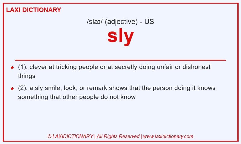 Definition sly in American English