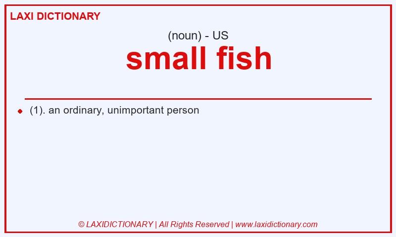 Definition small fish in American English