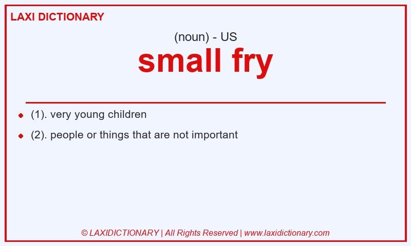 Definition small fry in American English