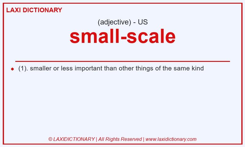 Definition small-scale in American English