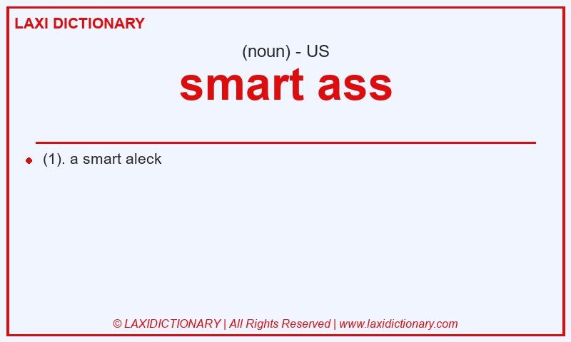 Definition smart ass in American English