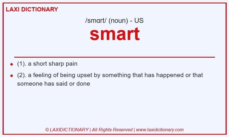 Definition smart in American English