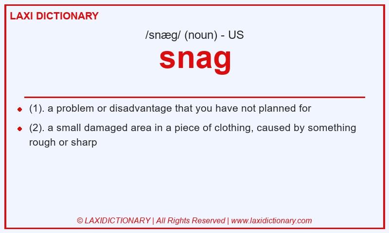 Definition snag in American English