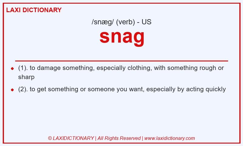 Definition snag in American English