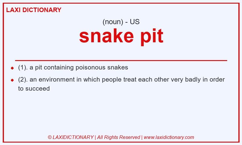 Definition snake pit in American English