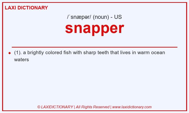 Definition snapper in American English