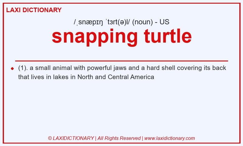 Definition snapping turtle in American English