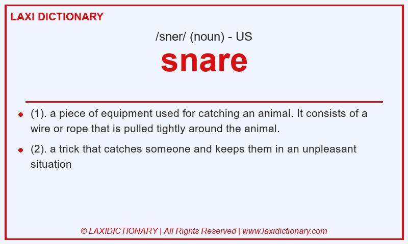 Definition snare in American English