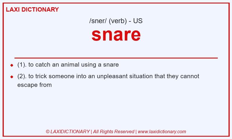 Definition snare in American English