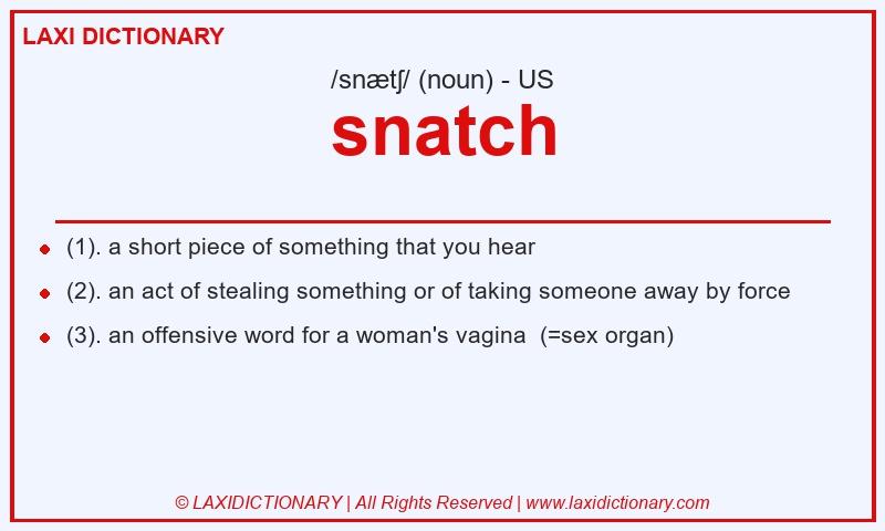 Definition snatch in American English