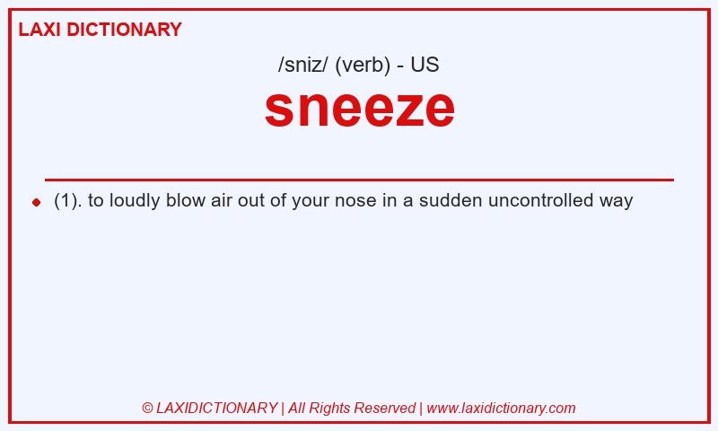 Definition sneeze in American English
