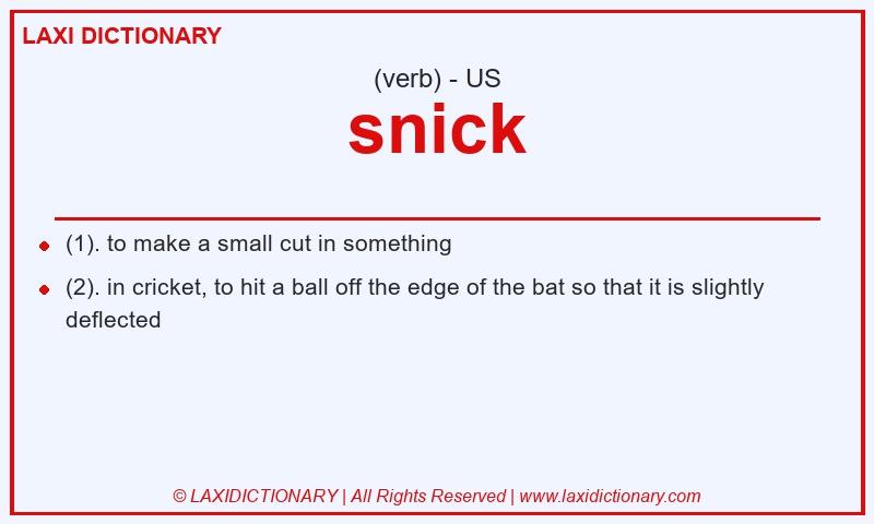 Definition snick in American English