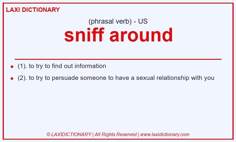 Definition sniff around in American English