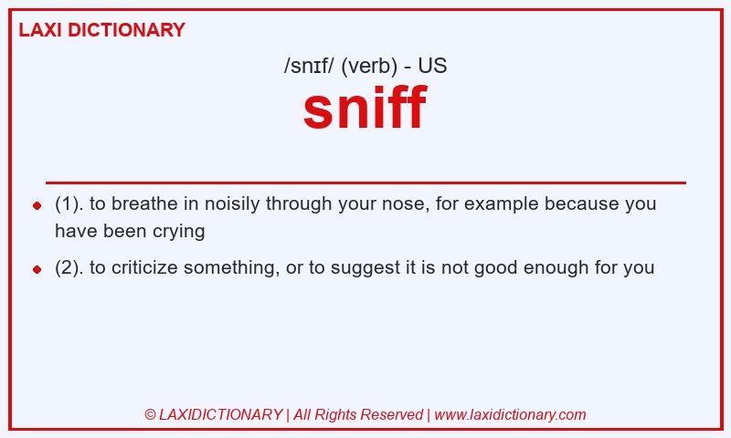 Definition sniff in American English