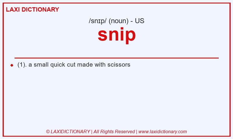 Definition snip in American English