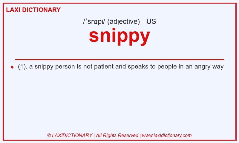 Definition snippy in American English