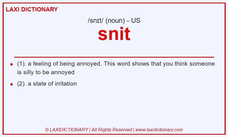 Definition snit in American English