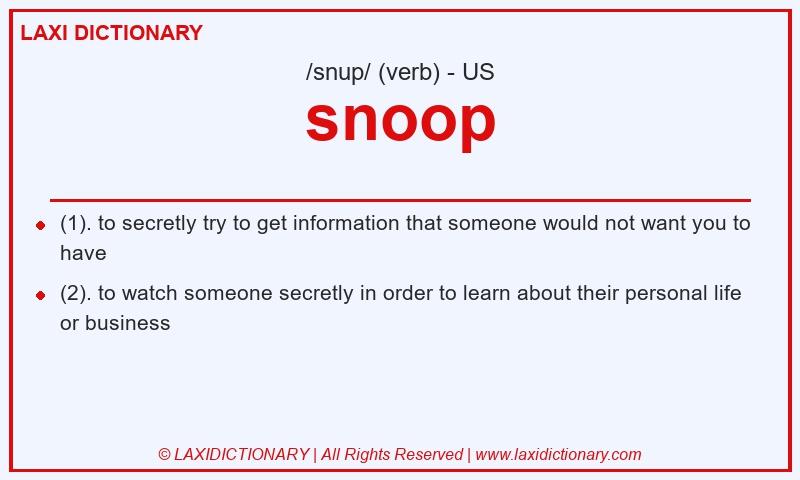 Definition snoop in American English