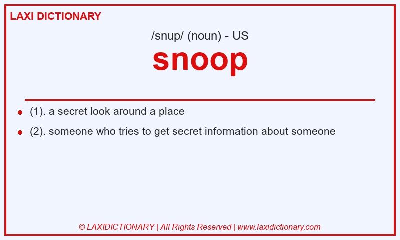 Definition snoop in American English