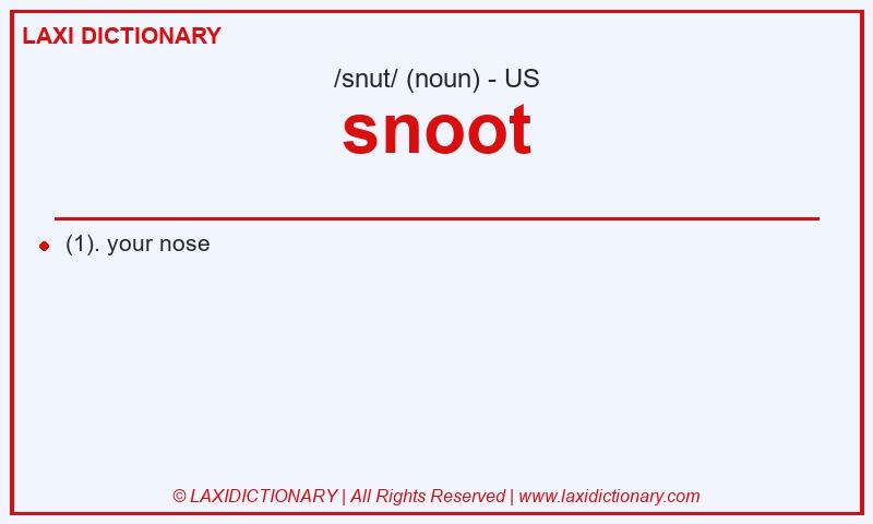 Definition snoot in American English
