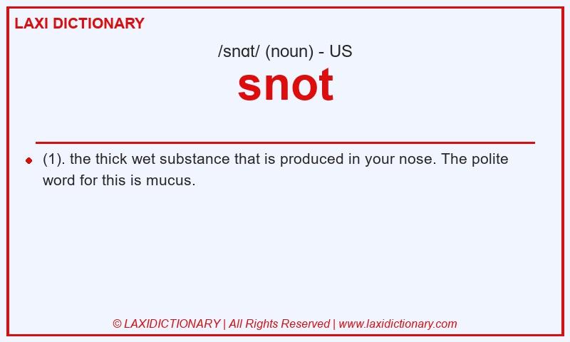 Definition snot in American English