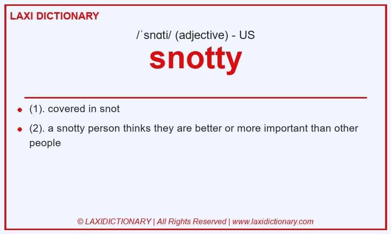 Definition snotty in American English