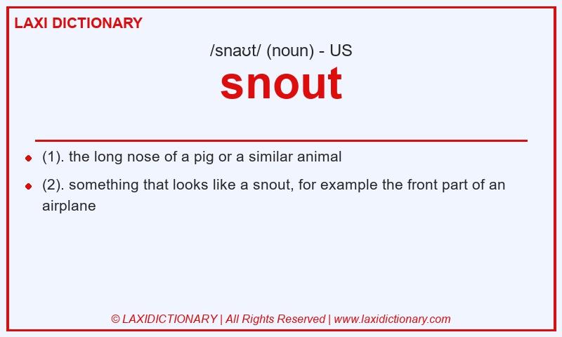 Definition snout in American English