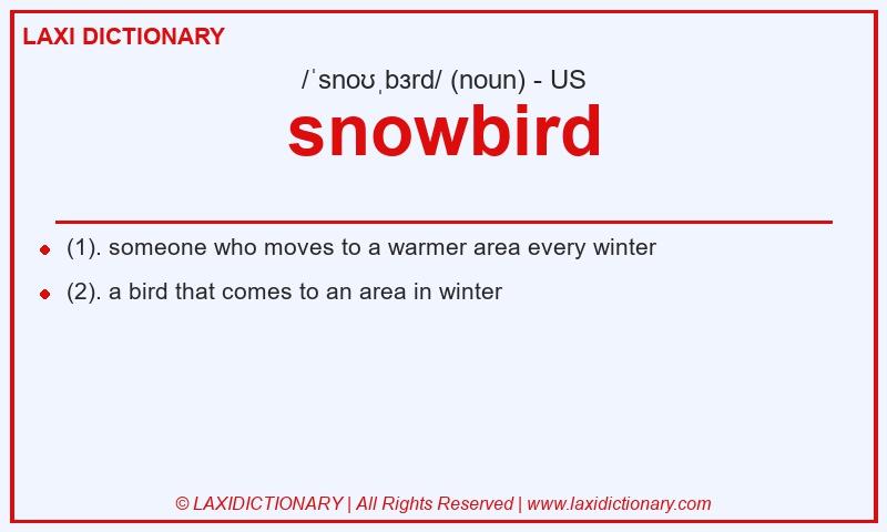 Definition snowbird in American English