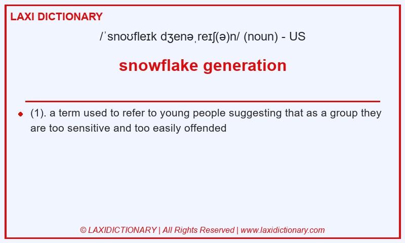 Definition snowflake generation in American English