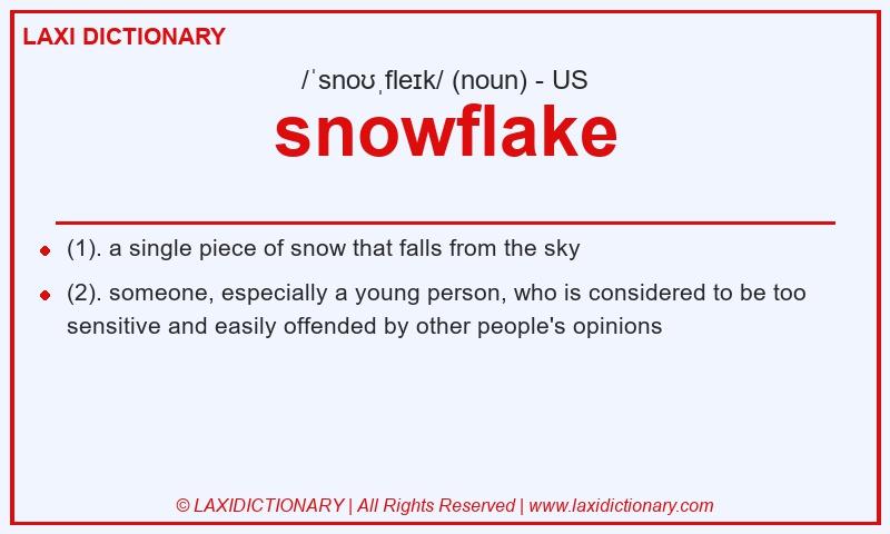 Definition snowflake in American English