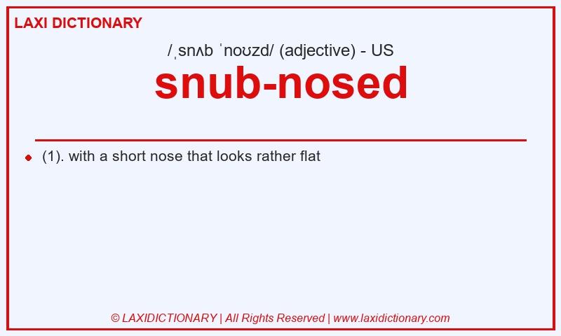 Definition snub-nosed in American English