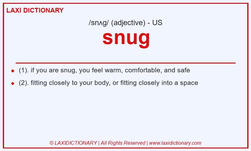 Definition snug in American English