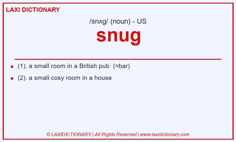 Definition snug in American English