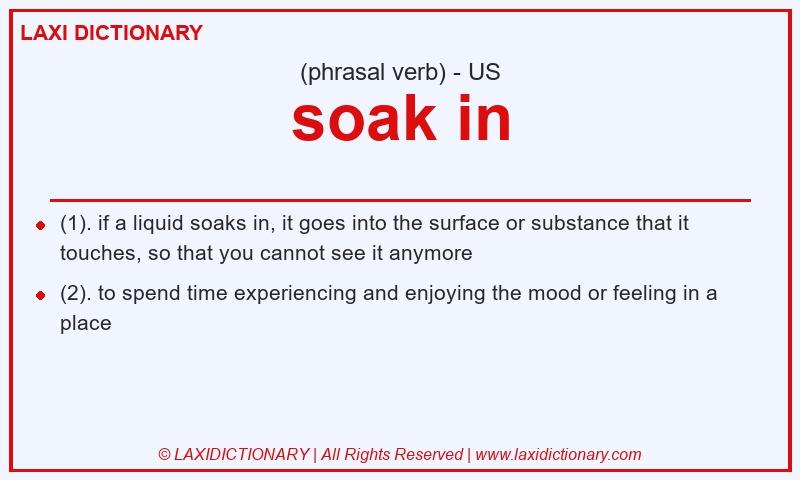 Definition soak in in American English
