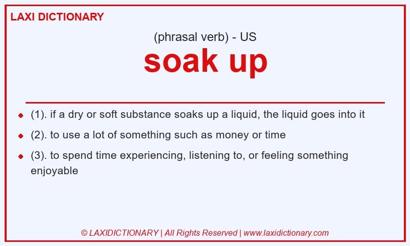 Definition soak up in American English