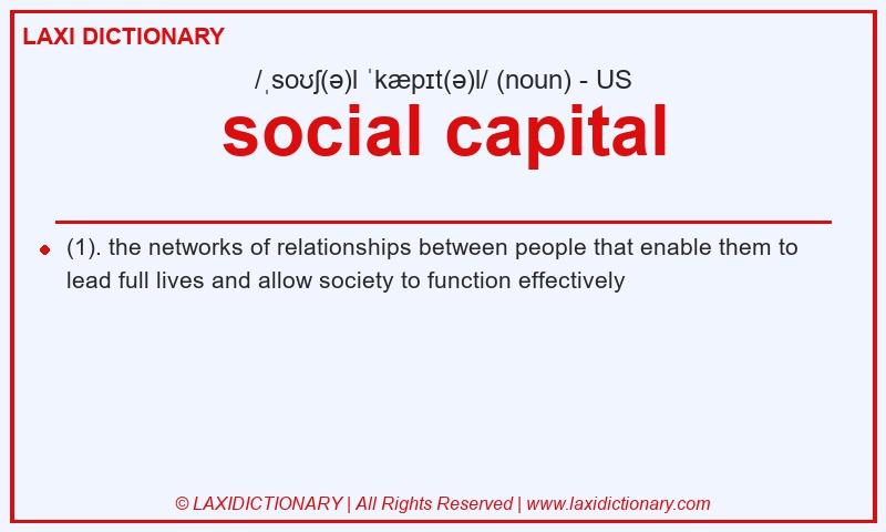 Definition social capital in American English