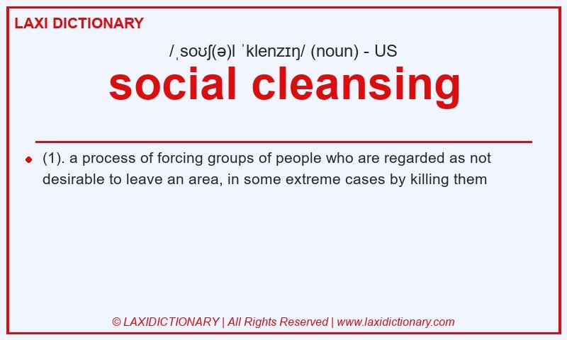 Definition social cleansing in American English