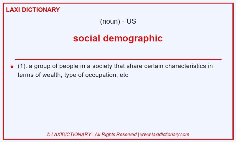 Definition social demographic in American English