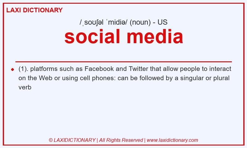 Definition social media in American English