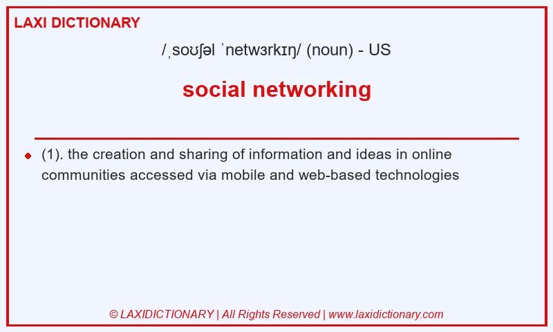 Definition social networking in American English