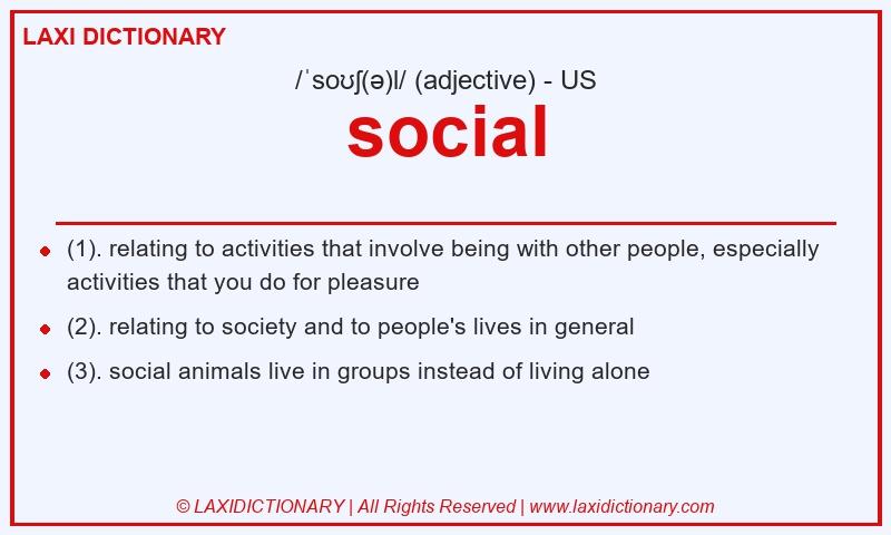Definition social in American English