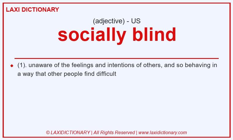 Definition socially blind in American English