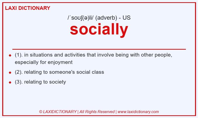 Definition socially in American English
