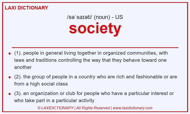 Definition society in American English