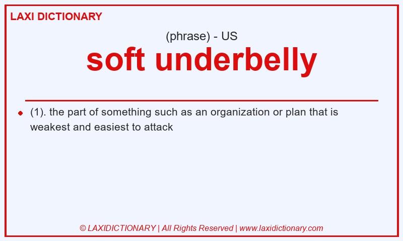 Definition soft underbelly in American English