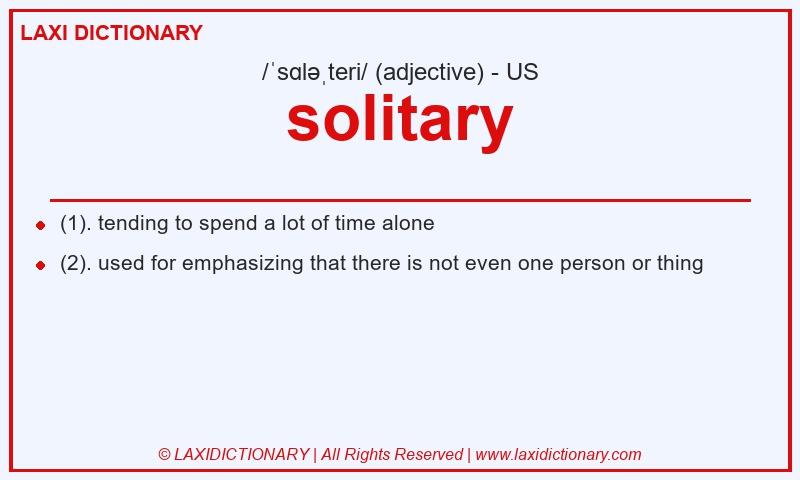 Definition solitary in American English