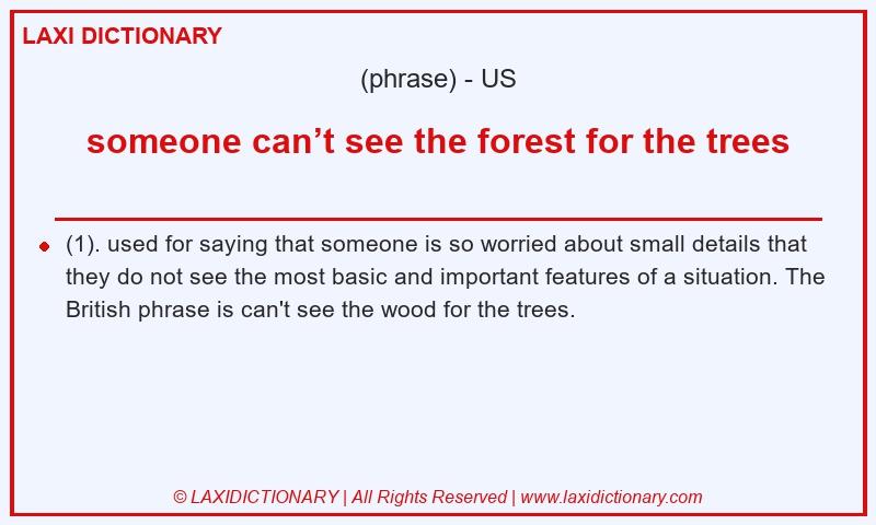Definition someone can’t see the forest for the trees in American English